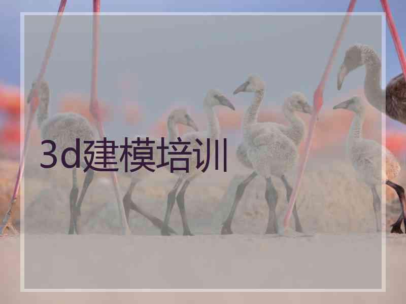 3d建模培训