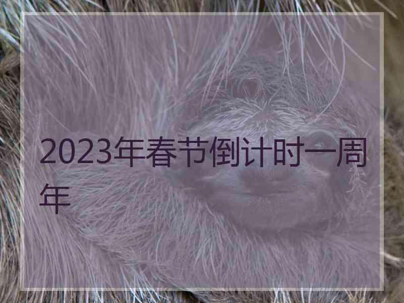 2023年春节倒计时一周年