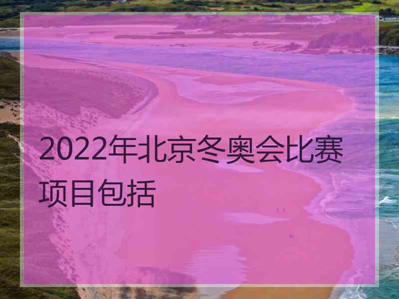 2022年北京冬奥会比赛项目包括