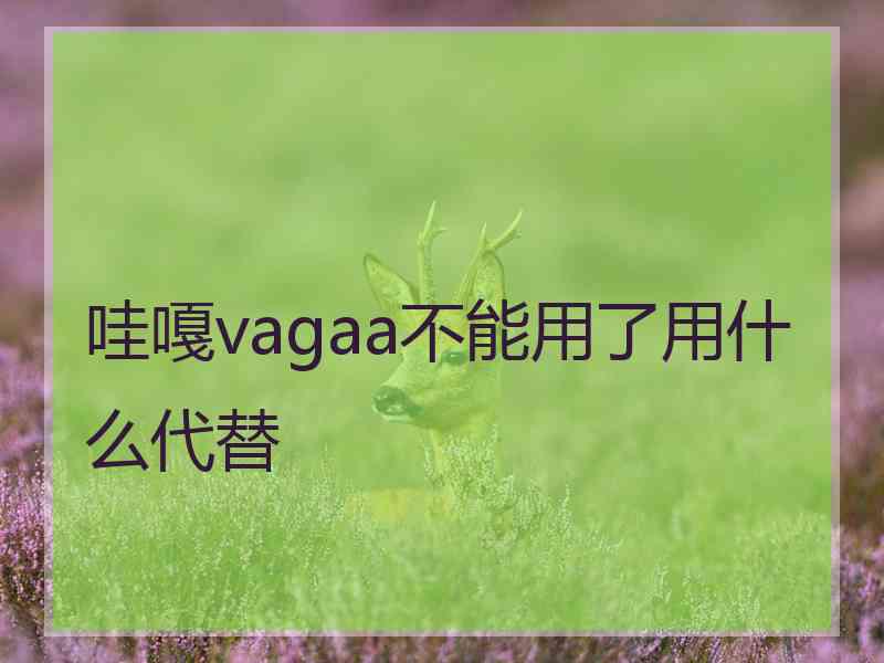 哇嘎vagaa不能用了用什么代替