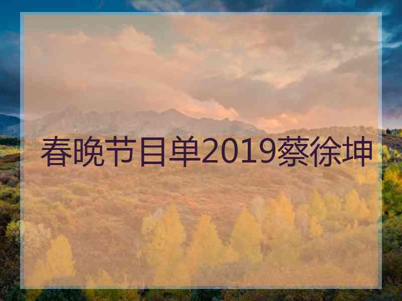 春晚节目单2019蔡徐坤