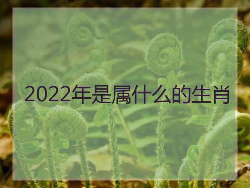 2022年是属什么的生肖