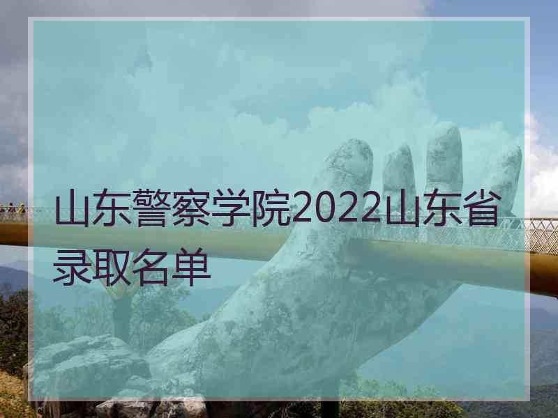 山东警察学院2022山东省录取名单