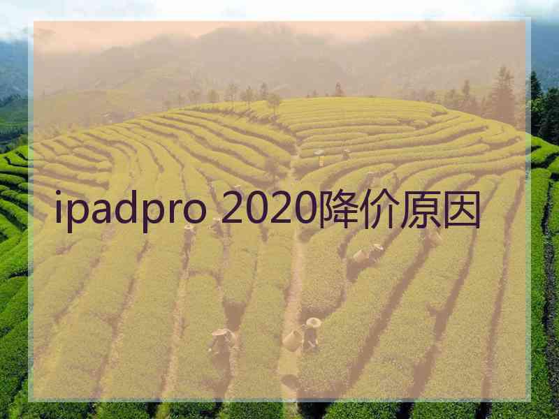 ipadpro 2020降价原因