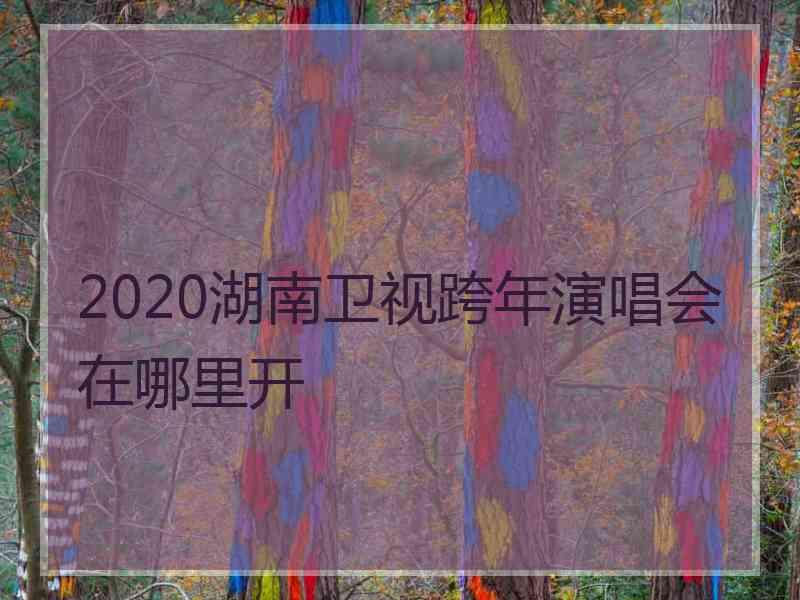 2020湖南卫视跨年演唱会在哪里开