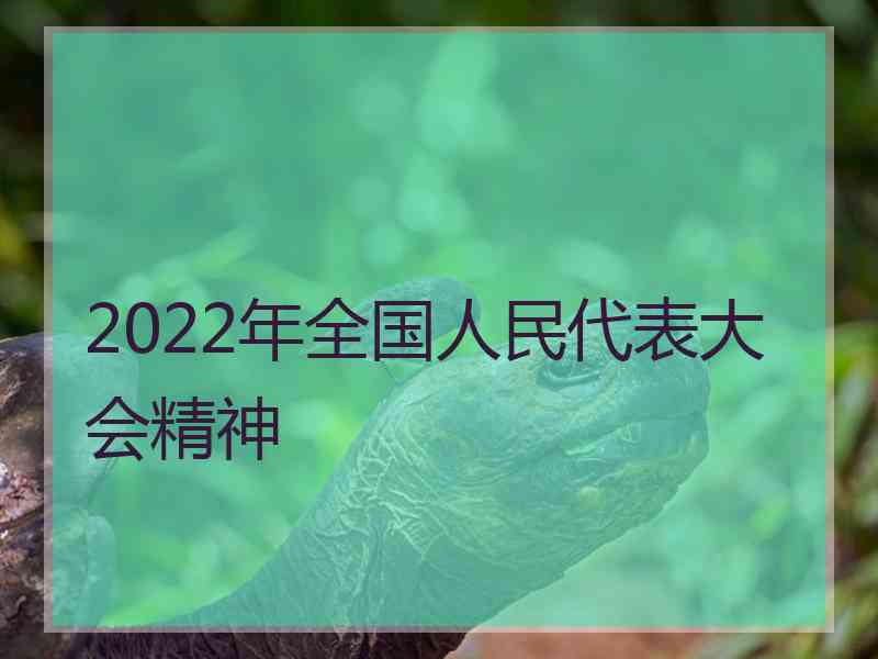 2022年全国人民代表大会精神