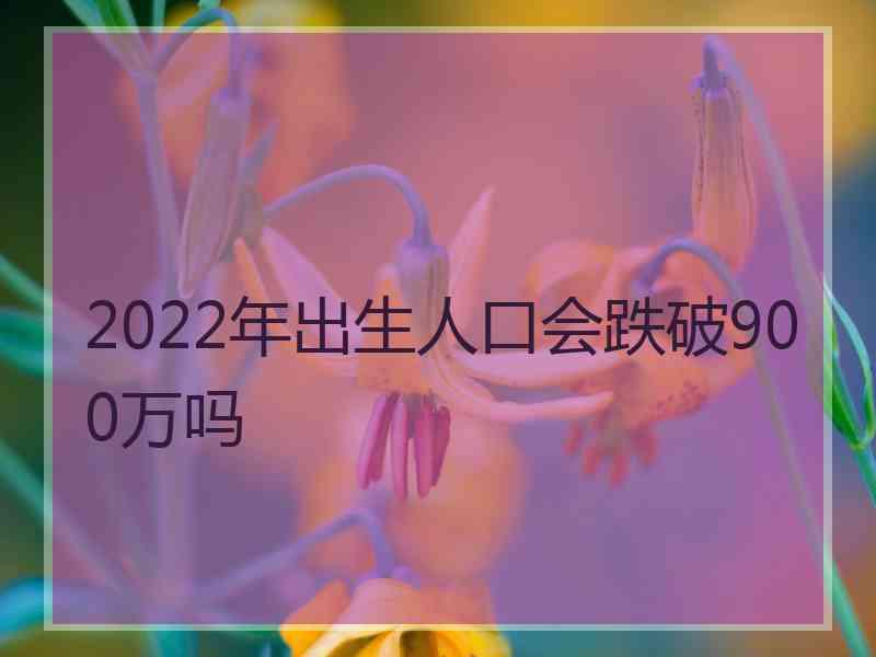 2022年出生人口会跌破900万吗