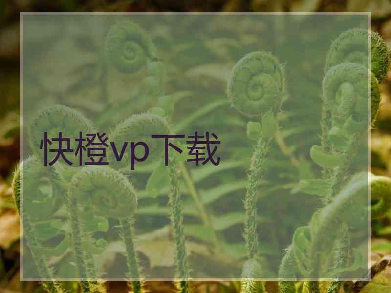 快橙vp下载