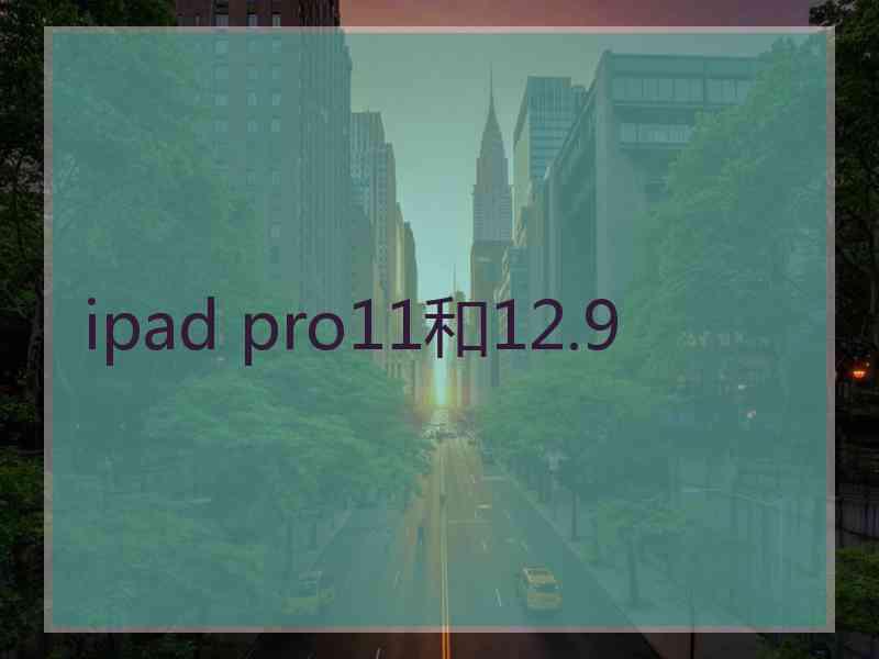 ipad pro11和12.9