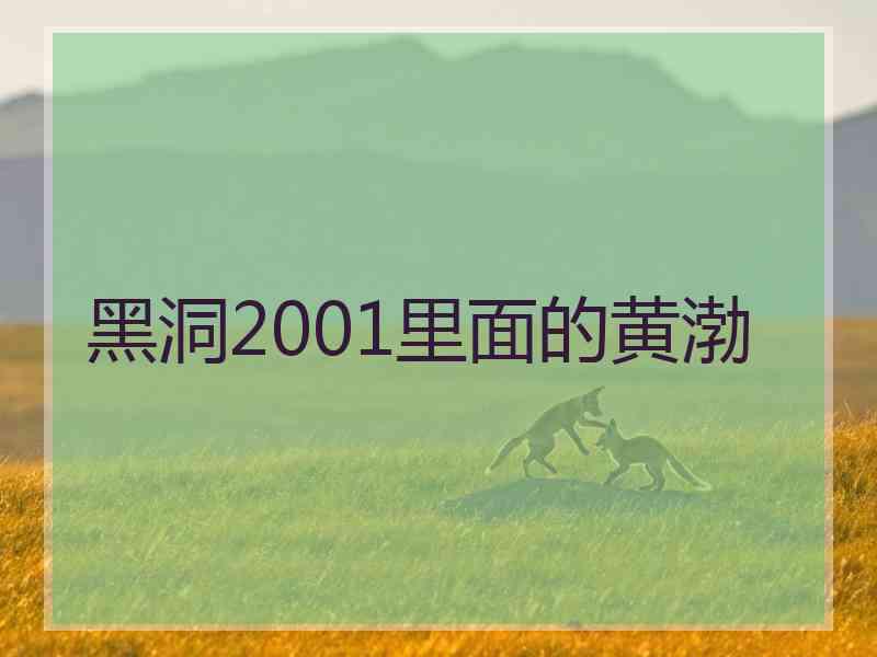 黑洞2001里面的黄渤