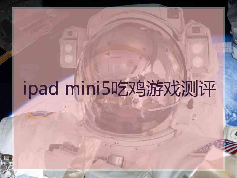 ipad mini5吃鸡游戏测评