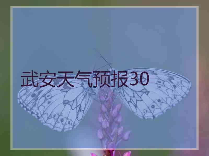 武安天气预报30