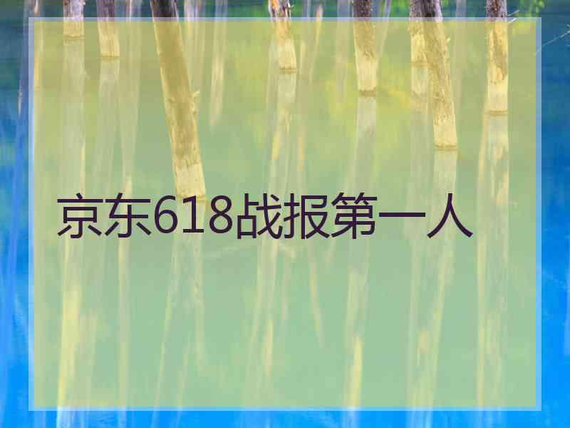 京东618战报第一人