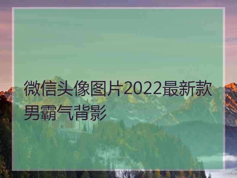 微信头像图片2022最新款男霸气背影