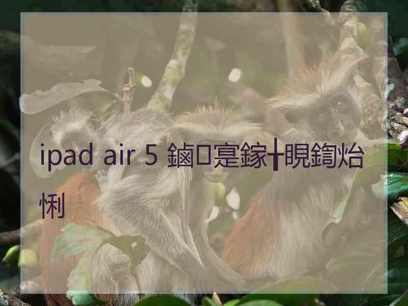 ipad air 5 鏀寔鎵╁睍鍧炲悧