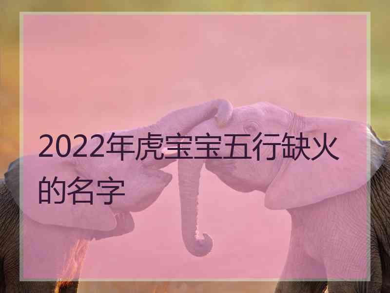 2022年虎宝宝五行缺火的名字