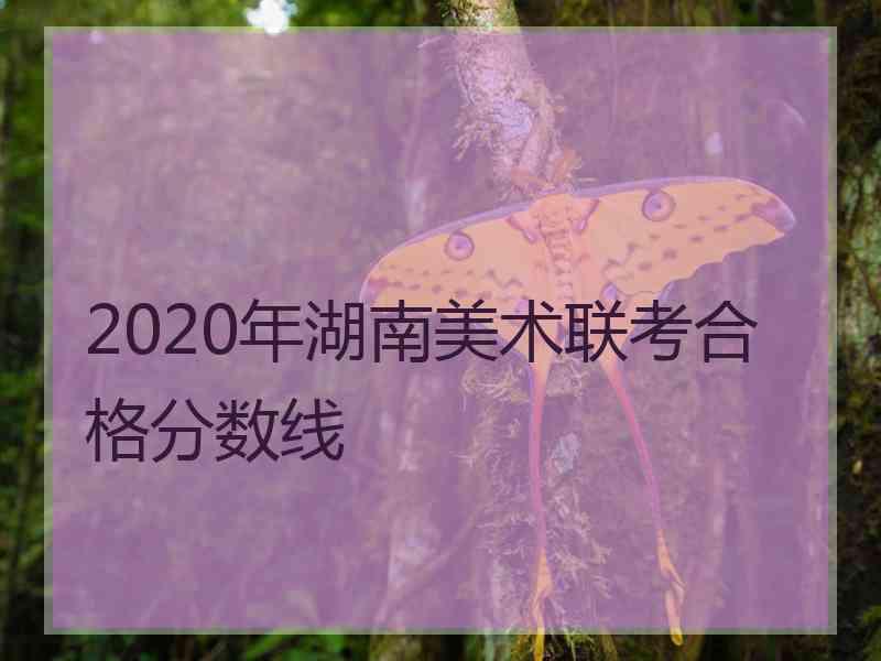 2020年湖南美术联考合格分数线