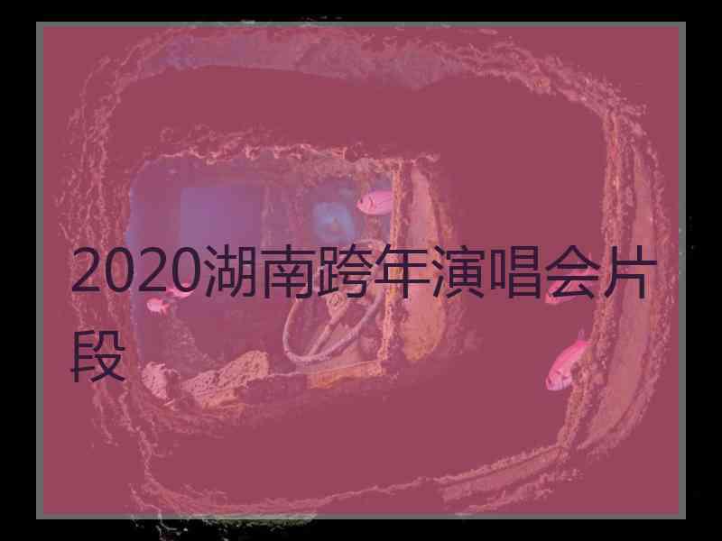 2020湖南跨年演唱会片段