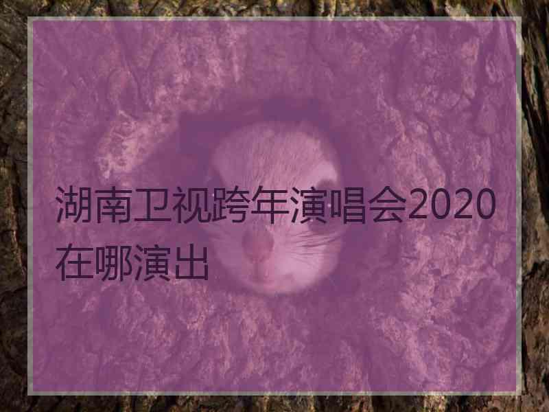 湖南卫视跨年演唱会2020在哪演出