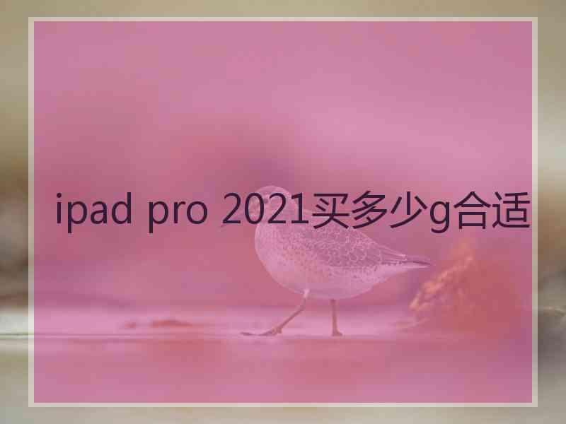 ipad pro 2021买多少g合适