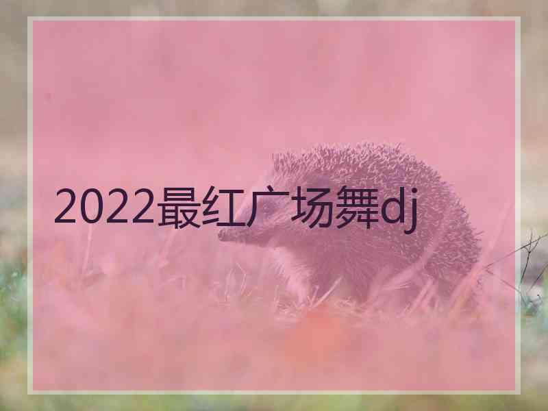 2022最红广场舞dj