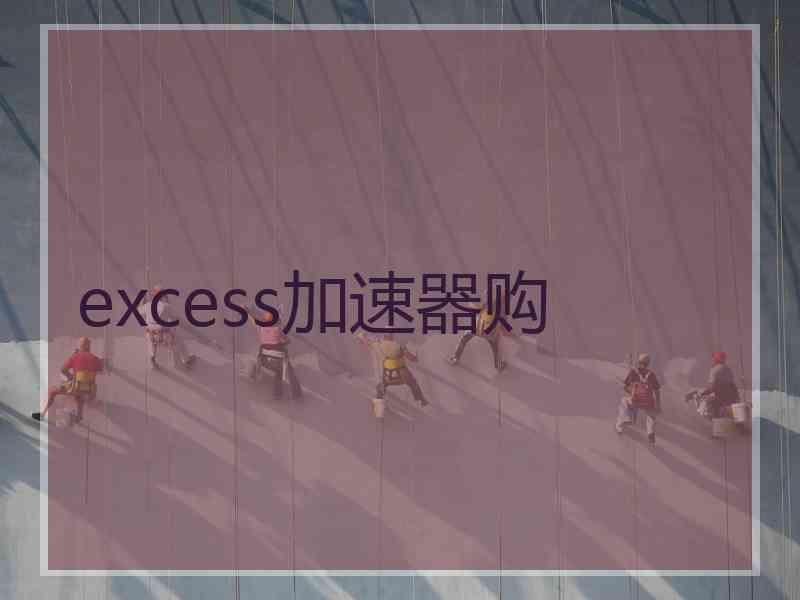 excess加速器购