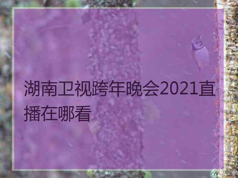 湖南卫视跨年晚会2021直播在哪看