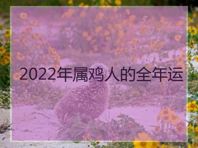 2022年属鸡人的全年运