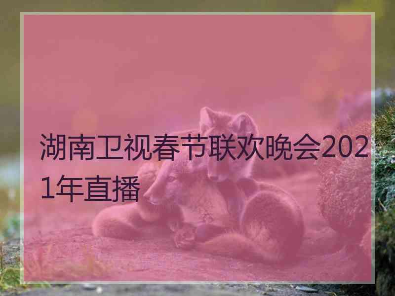 湖南卫视春节联欢晚会2021年直播