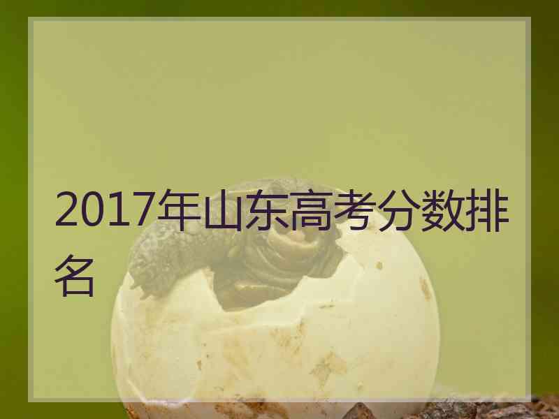 2017年山东高考分数排名