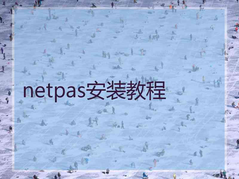 netpas安装教程