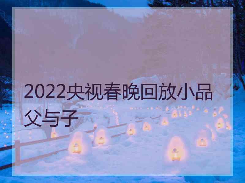 2022央视春晚回放小品父与子