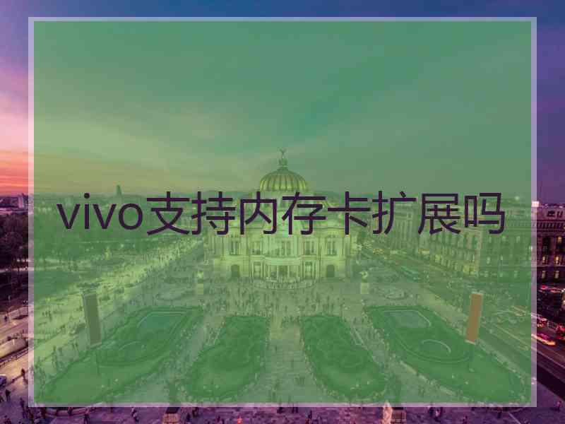 vivo支持内存卡扩展吗