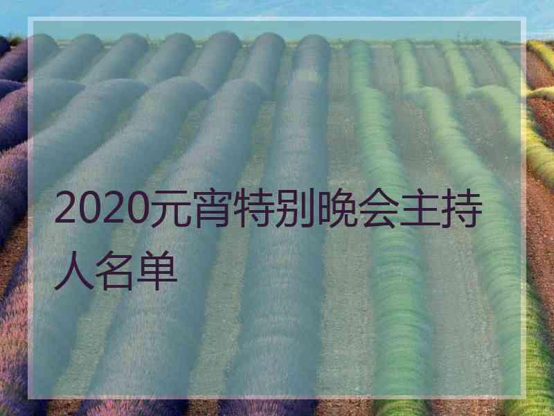 2020元宵特别晚会主持人名单