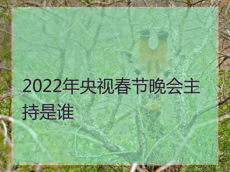 2022年央视春节晚会主持是谁