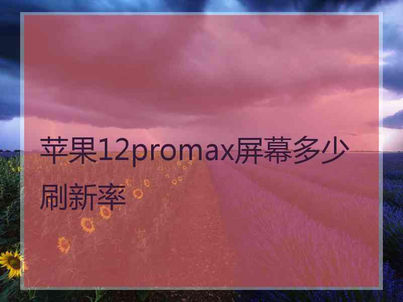 苹果12promax屏幕多少刷新率