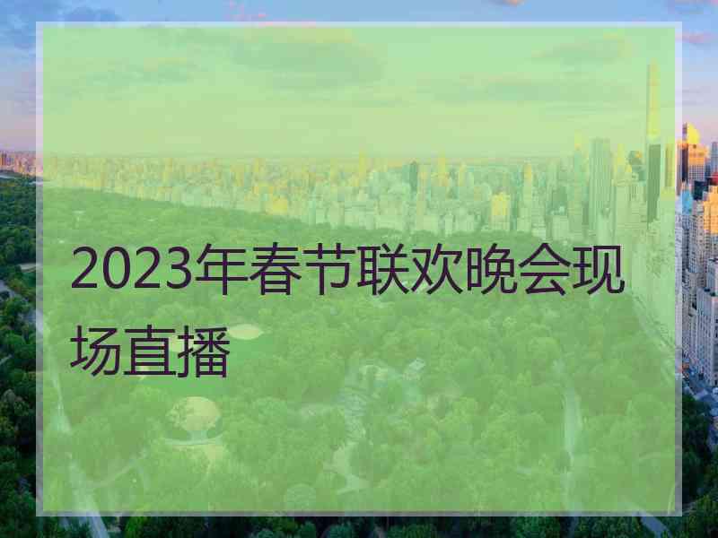 2023年春节联欢晚会现场直播