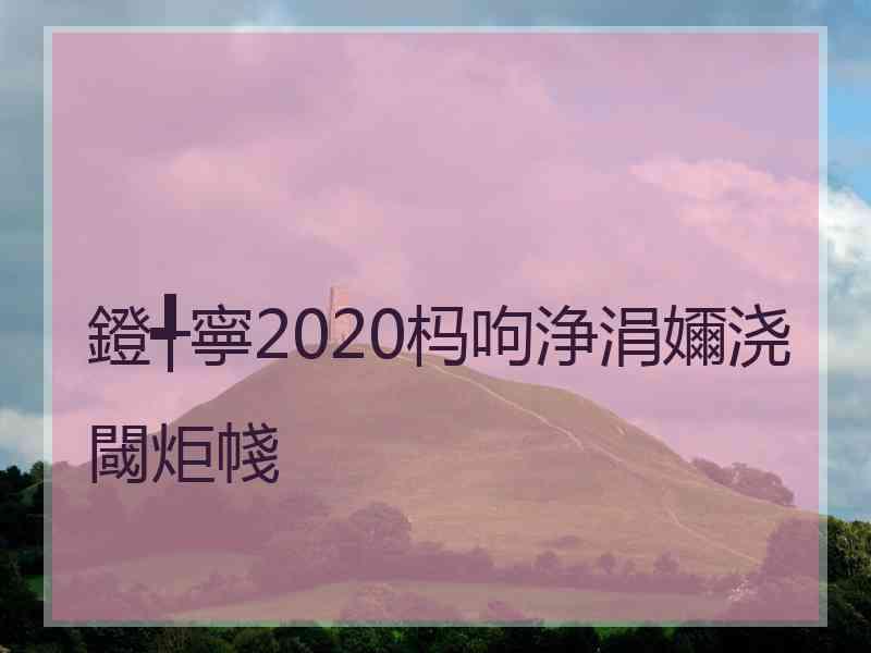 鐙╃寧2020杩呴浄涓嬭浇閾炬帴