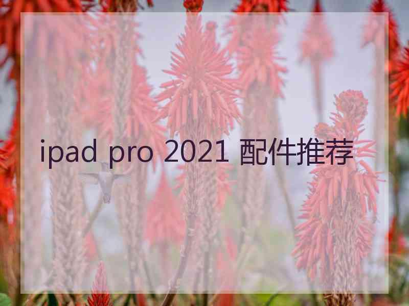 ipad pro 2021 配件推荐