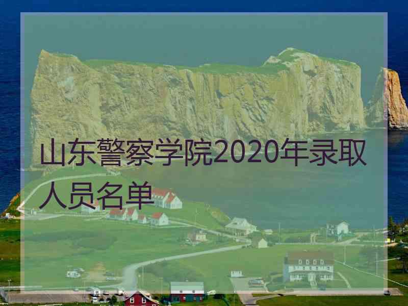 山东警察学院2020年录取人员名单