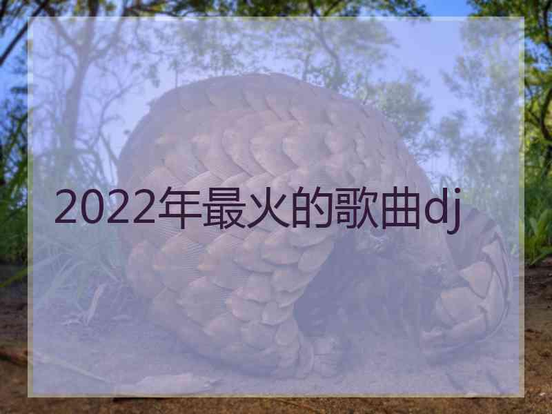 2022年最火的歌曲dj