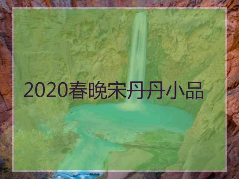 2020春晚宋丹丹小品