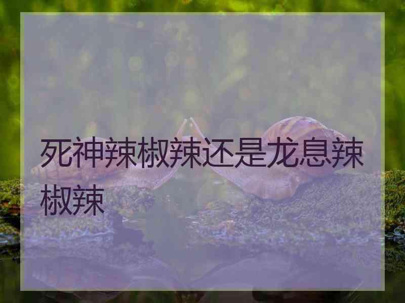 死神辣椒辣还是龙息辣椒辣