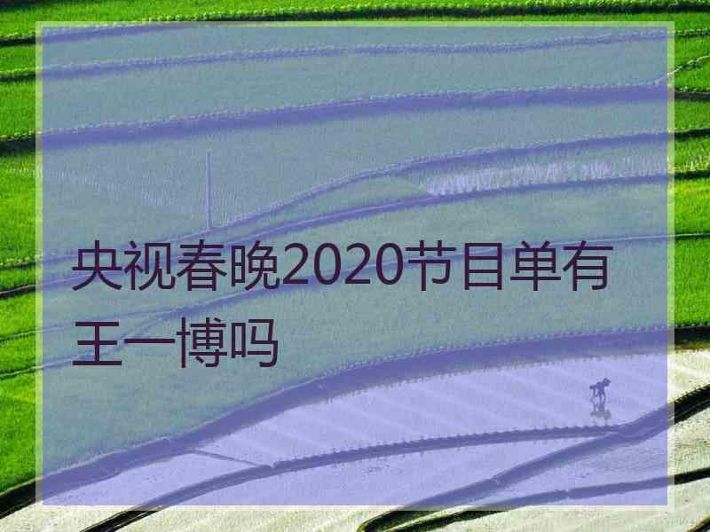 央视春晚2020节目单有王一博吗