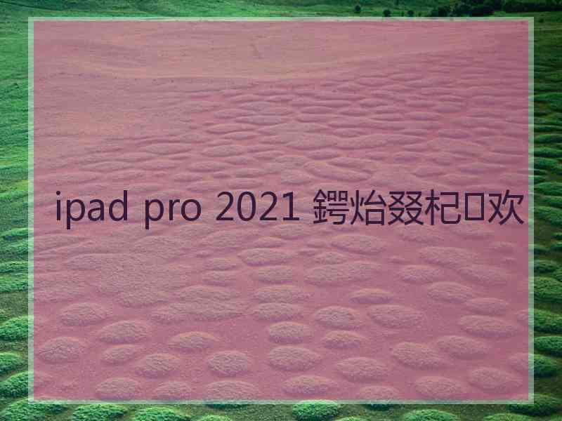 ipad pro 2021 鍔炲叕杞欢