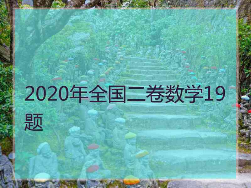 2020年全国二卷数学19题