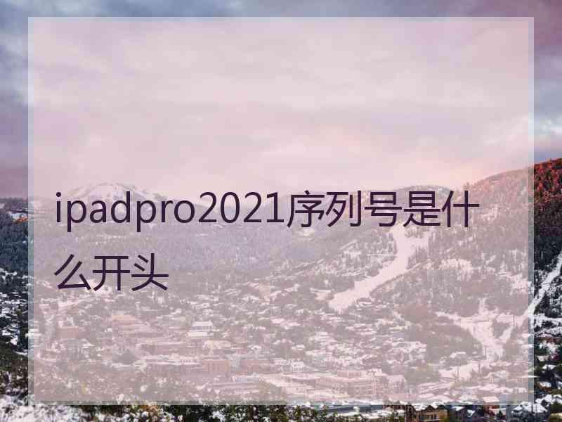 ipadpro2021序列号是什么开头