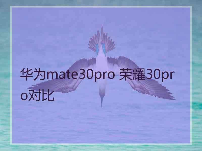 华为mate30pro 荣耀30pro对比