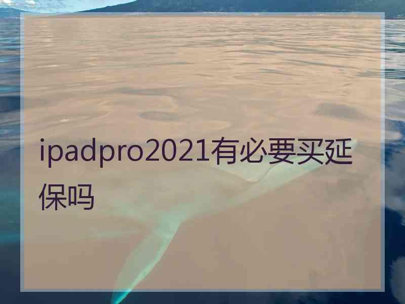 ipadpro2021有必要买延保吗