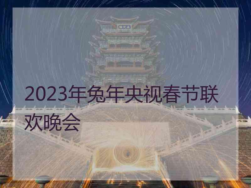 2023年兔年央视春节联欢晚会